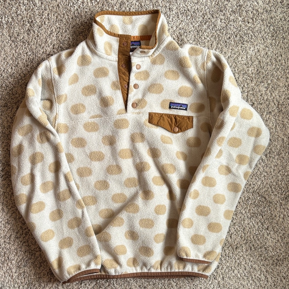 Patagonia Synchilla Snap-T Pullover